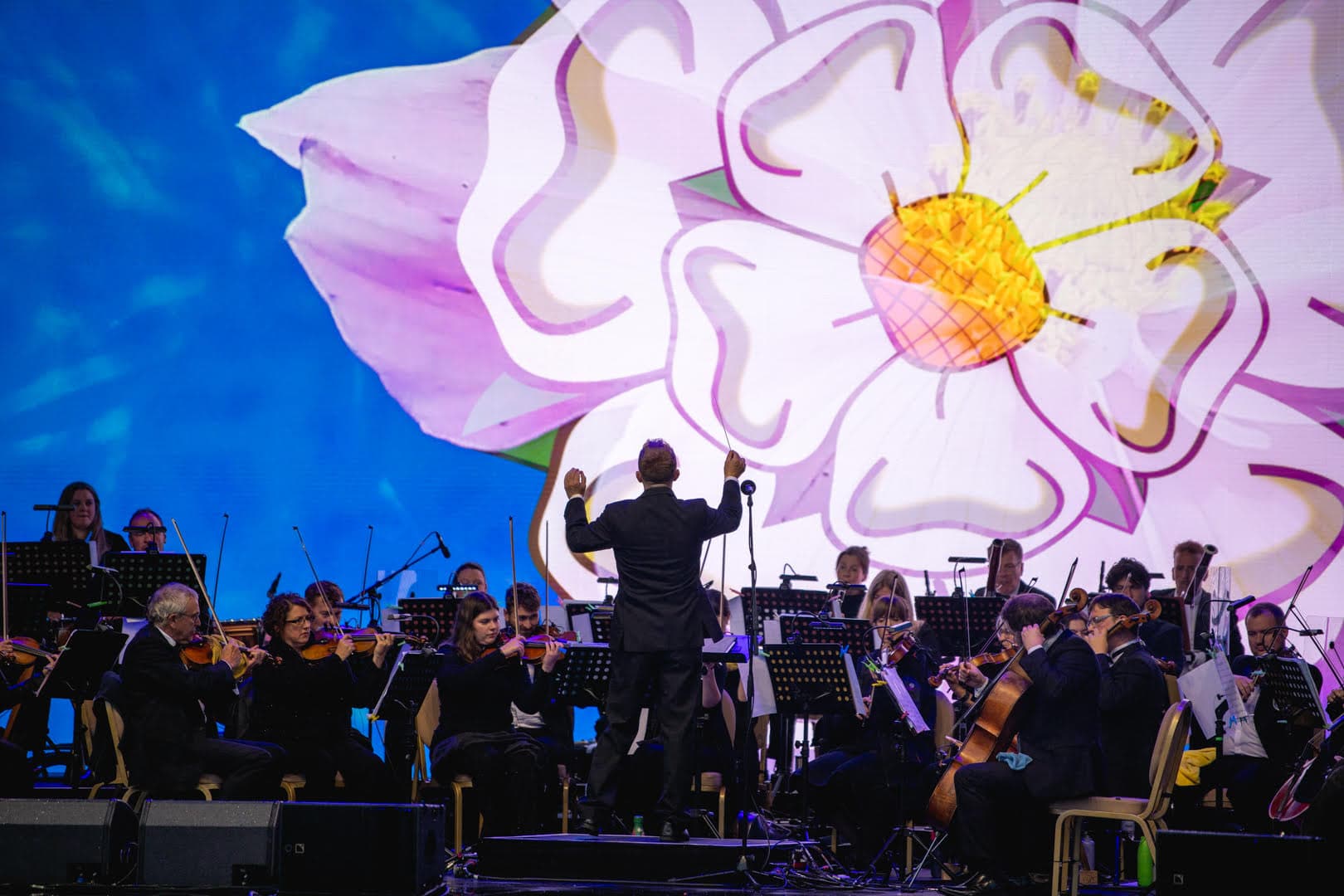 Conductor leading orchestra with large Yorkshire rose backdrop