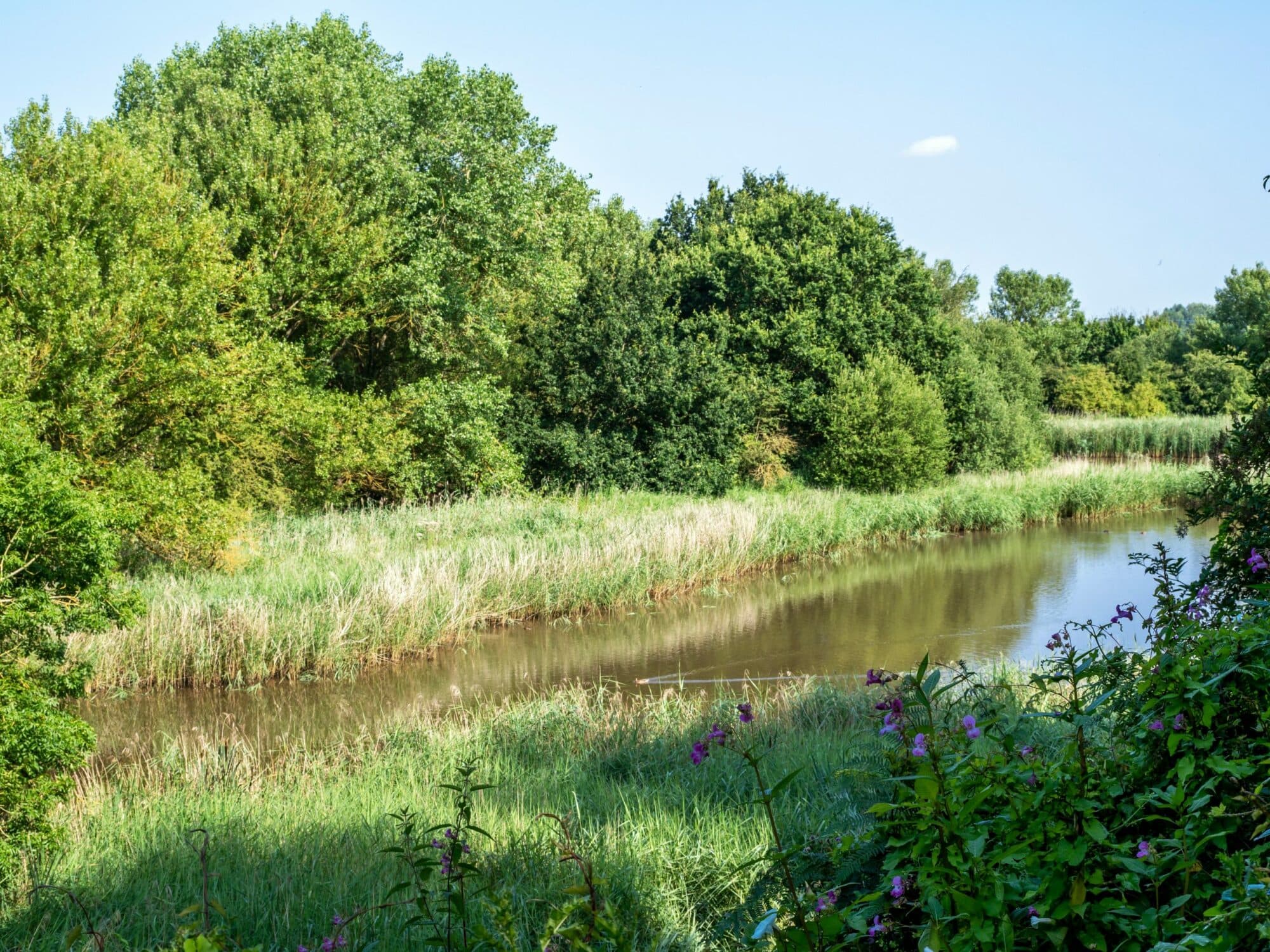 Barlow Common Wildlife Trail