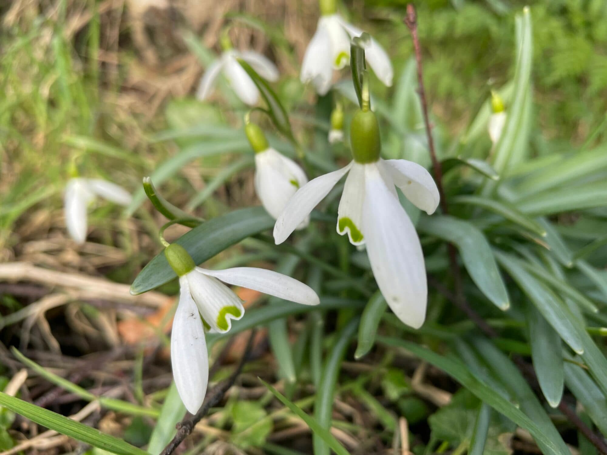 Newsletter: Friday 2nd February 2024