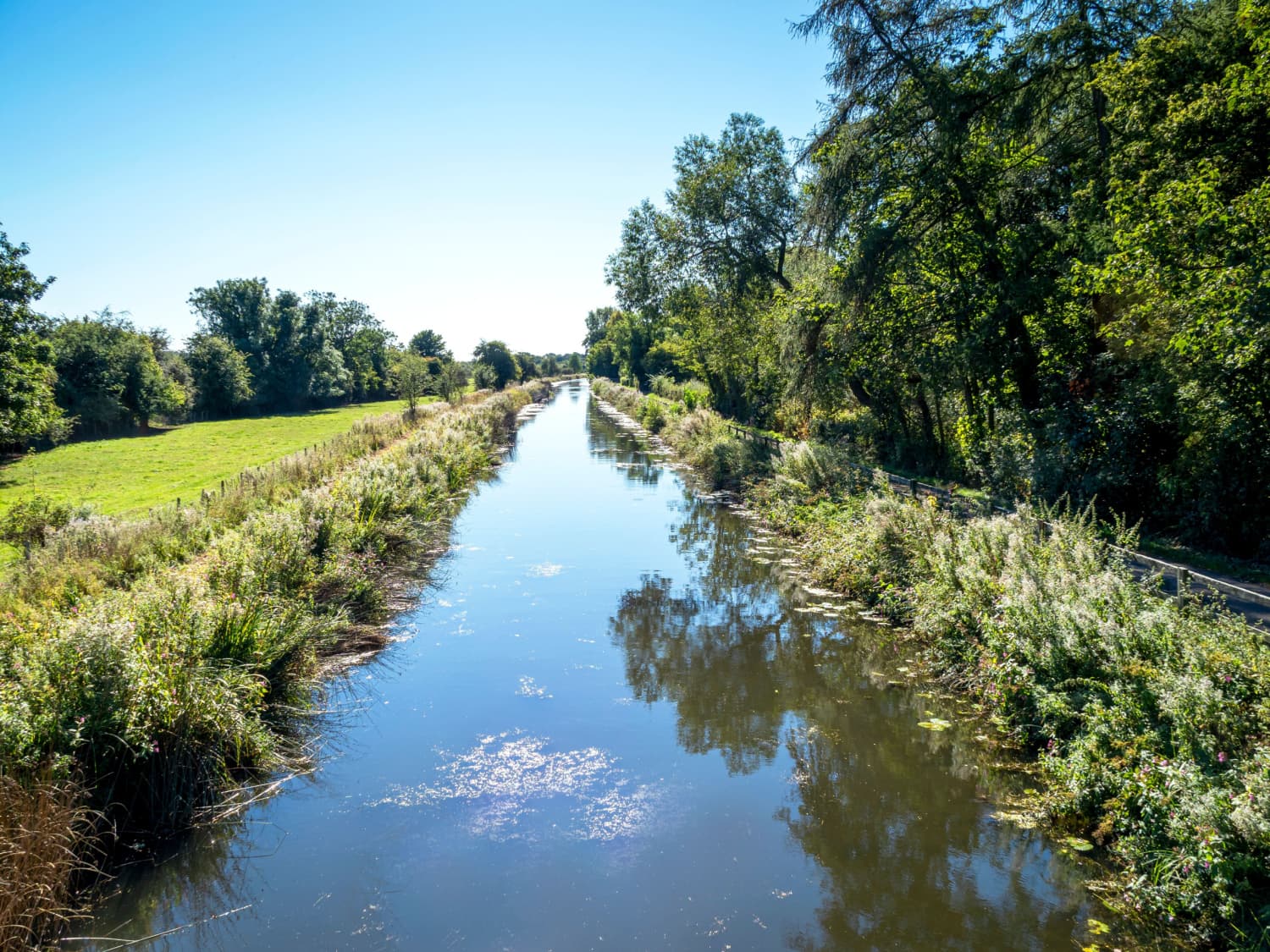 Walk: Ripon Canal