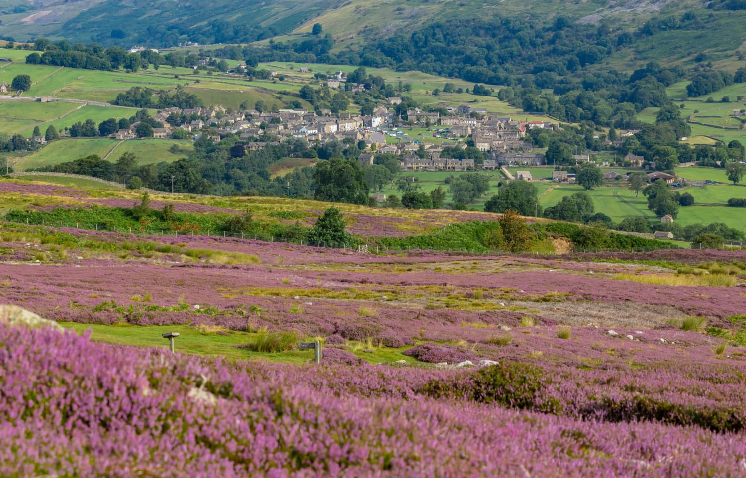 Walk: Reeth