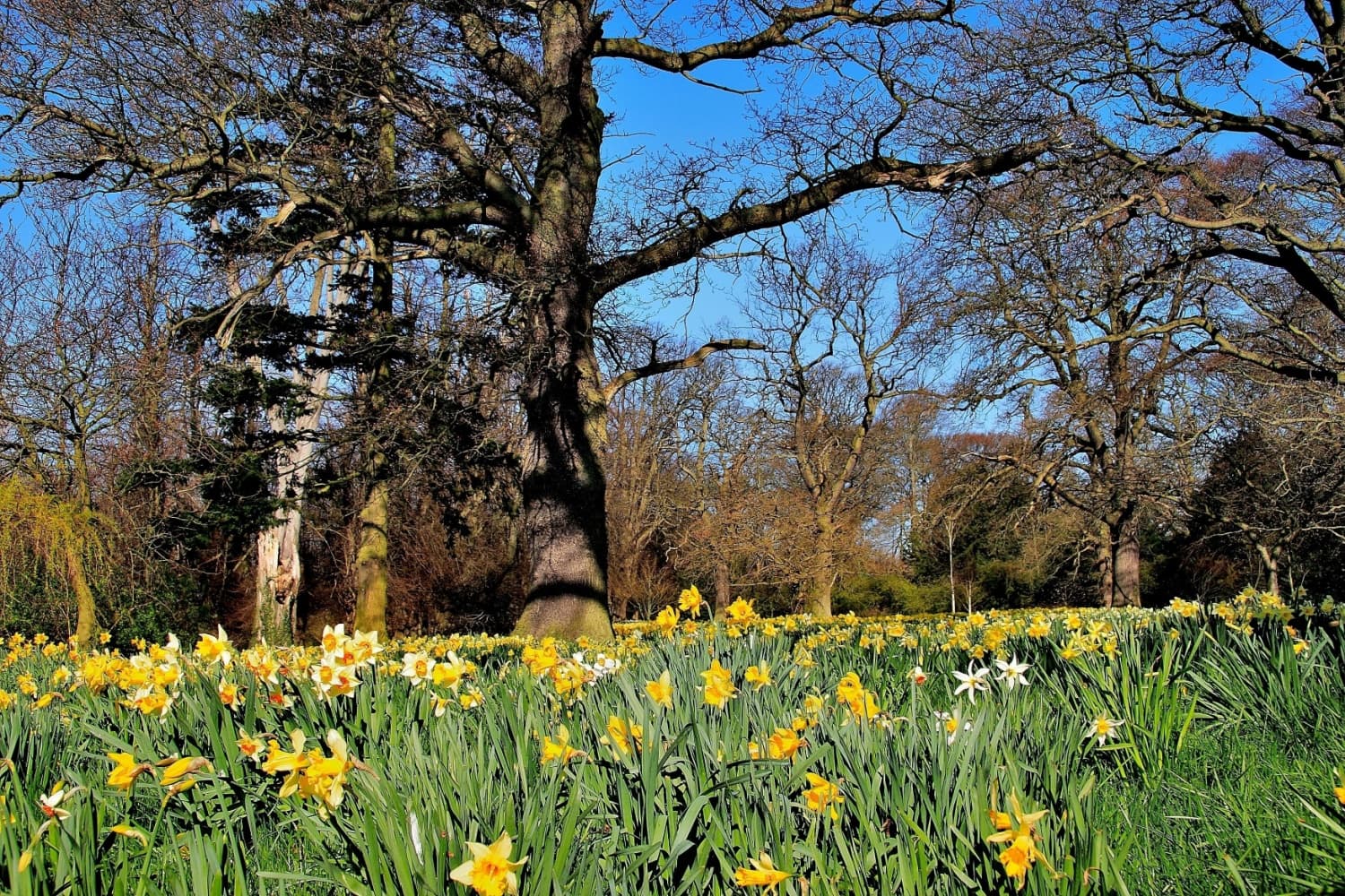 What's Happening At The Stables Kitchen Cafe At Burton Constable Hall?
