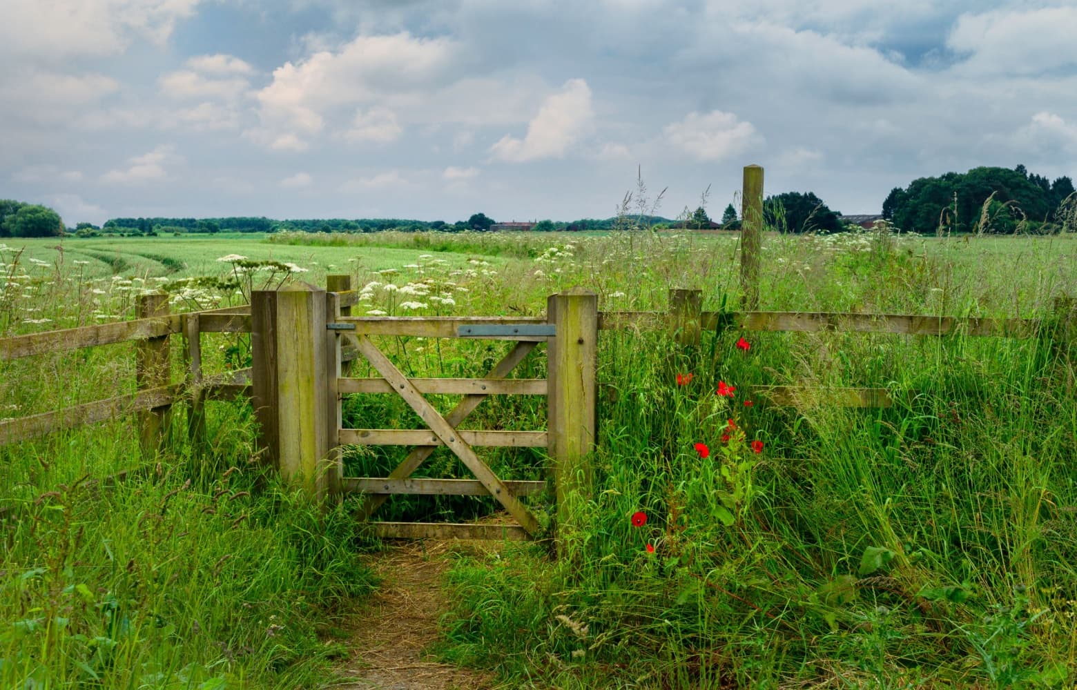 Newsletter: Friday 23rd August 2024