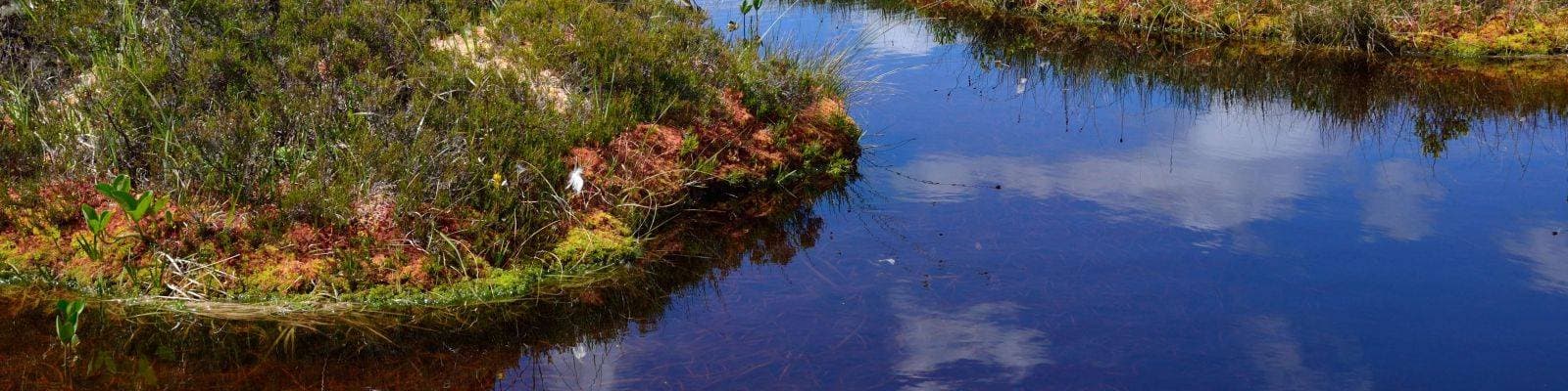 Peat partners