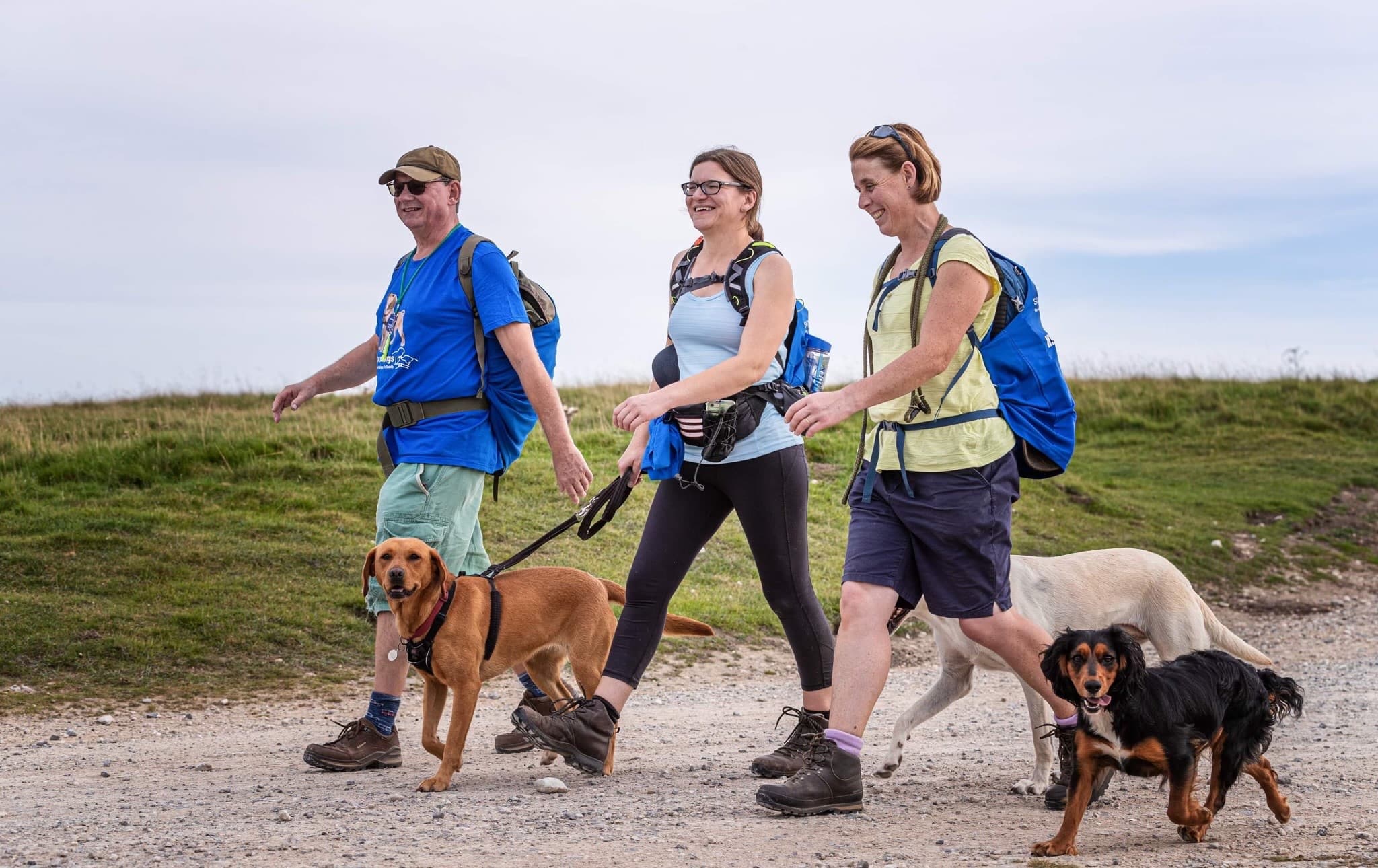 Sheffield Round Walk to Support Assistance Dogs on June 6