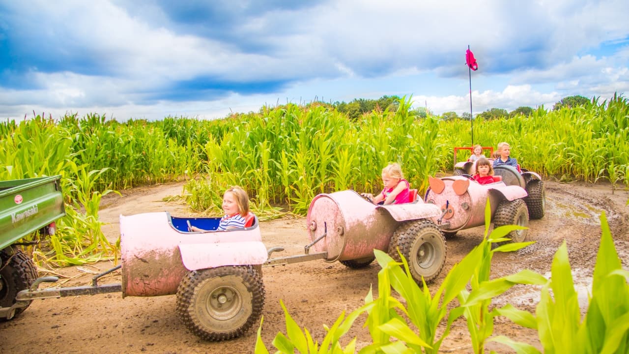 Piglets Adventure Farm Park - Family Fun In York - Family Attraction in stockton on the forest