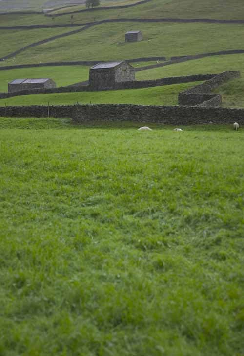 Reeth Tourist Information Centre - Visitor Centres in reeth