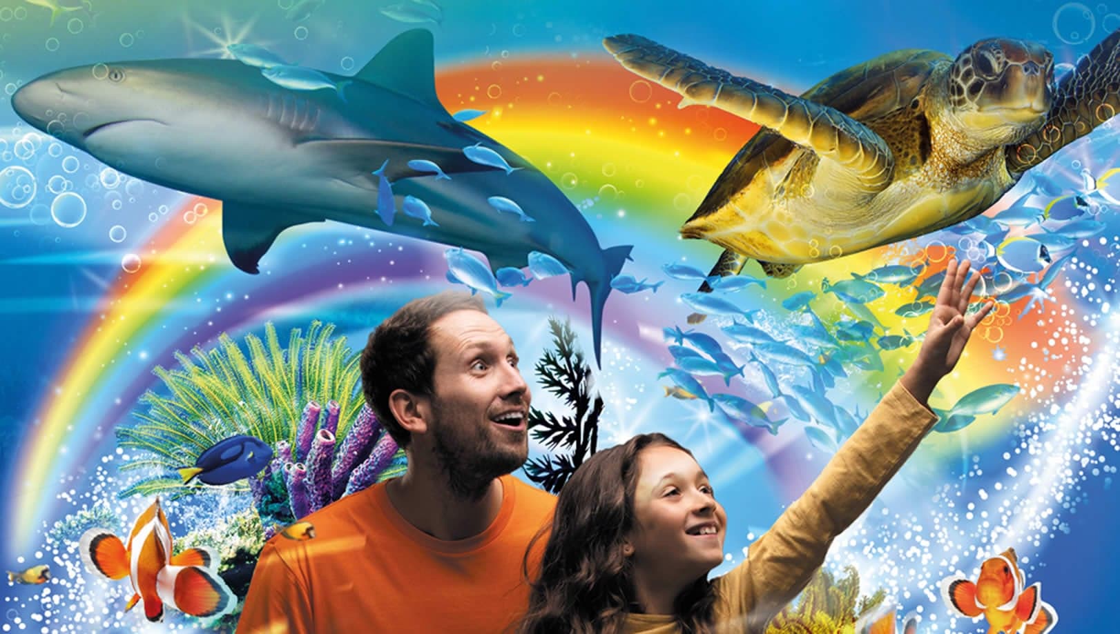 Scarborough SEA LIFE Sanctuary - Aquariums in scarborough