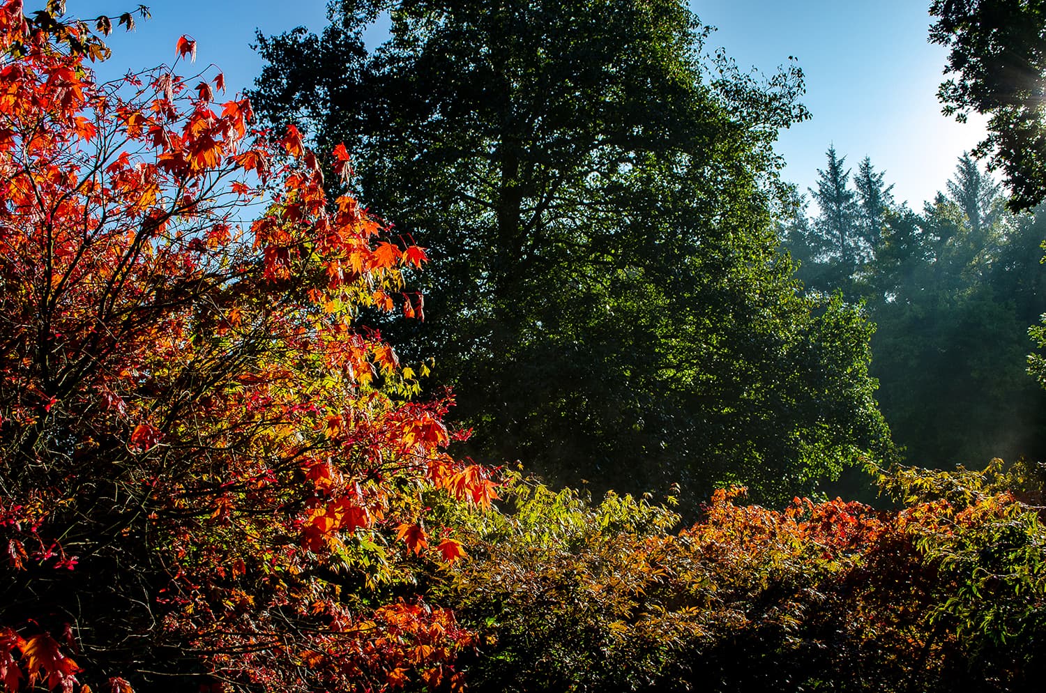 Visit The Yorkshire Arboretum - Park in coneysthorpe
