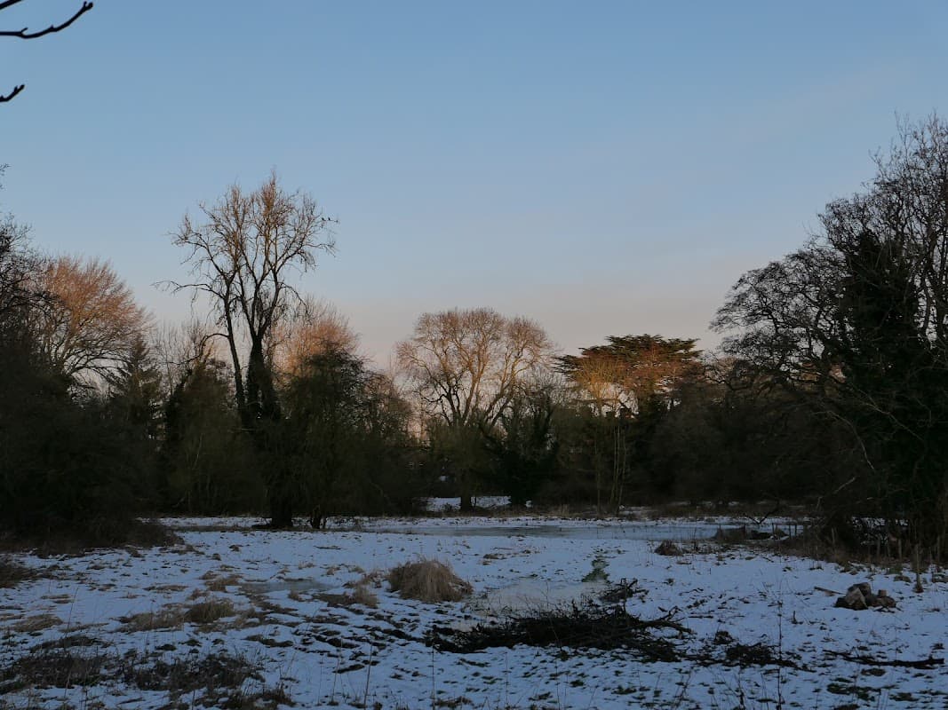 Snow-covered landscape with bare trees and a clear sky at Alne Crossroads, Yorkshire.