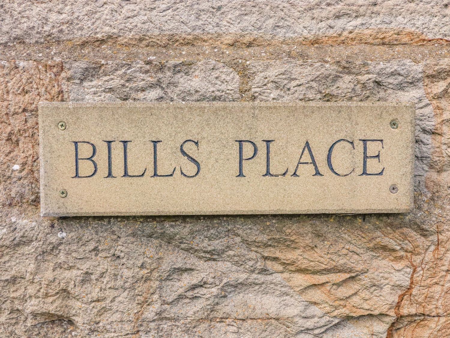 Bill's Place — photo 3