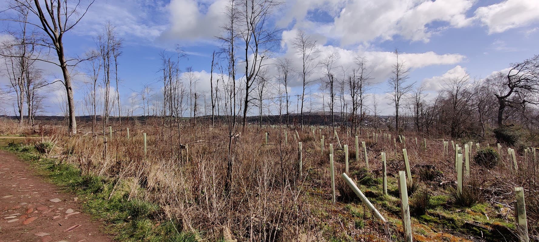 Bradford, Bingley, Betty's Wood