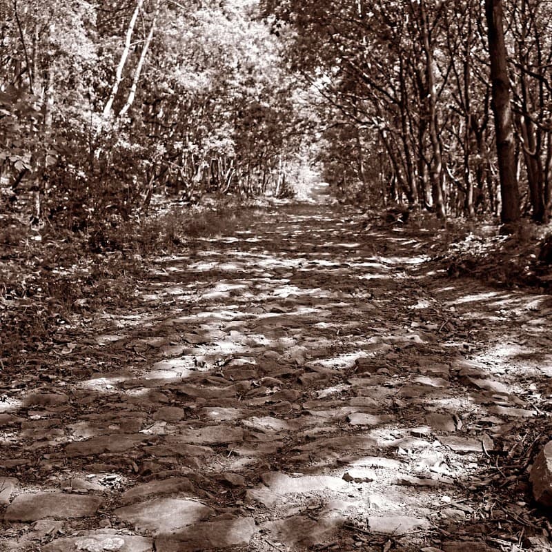Post Hill - Historic Site in bramley