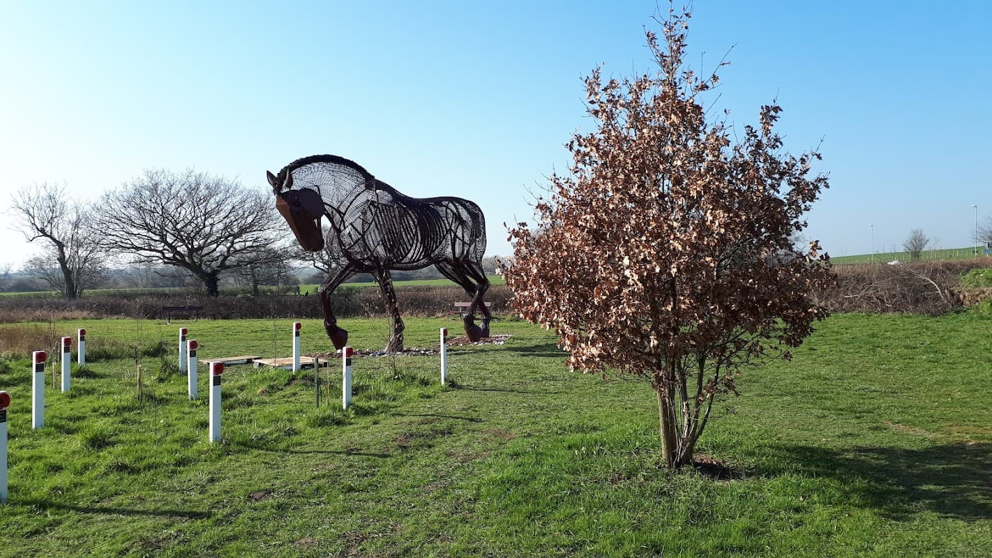 Mill Pond Meadow - Park in featherstone