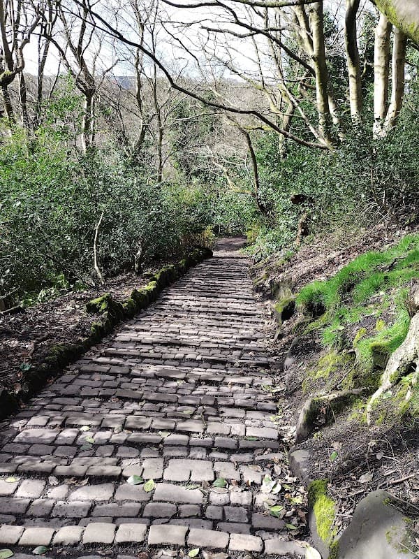 Shroggs Park - Park in halifax