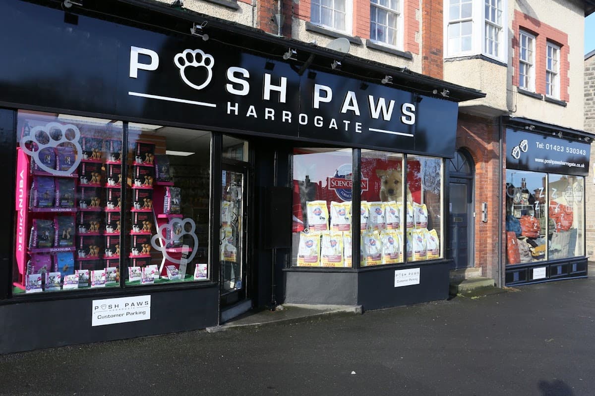 Colorful pet supplies displayed in windows of Posh Paws Harrogate shop, with signs and nearby storefronts visible.