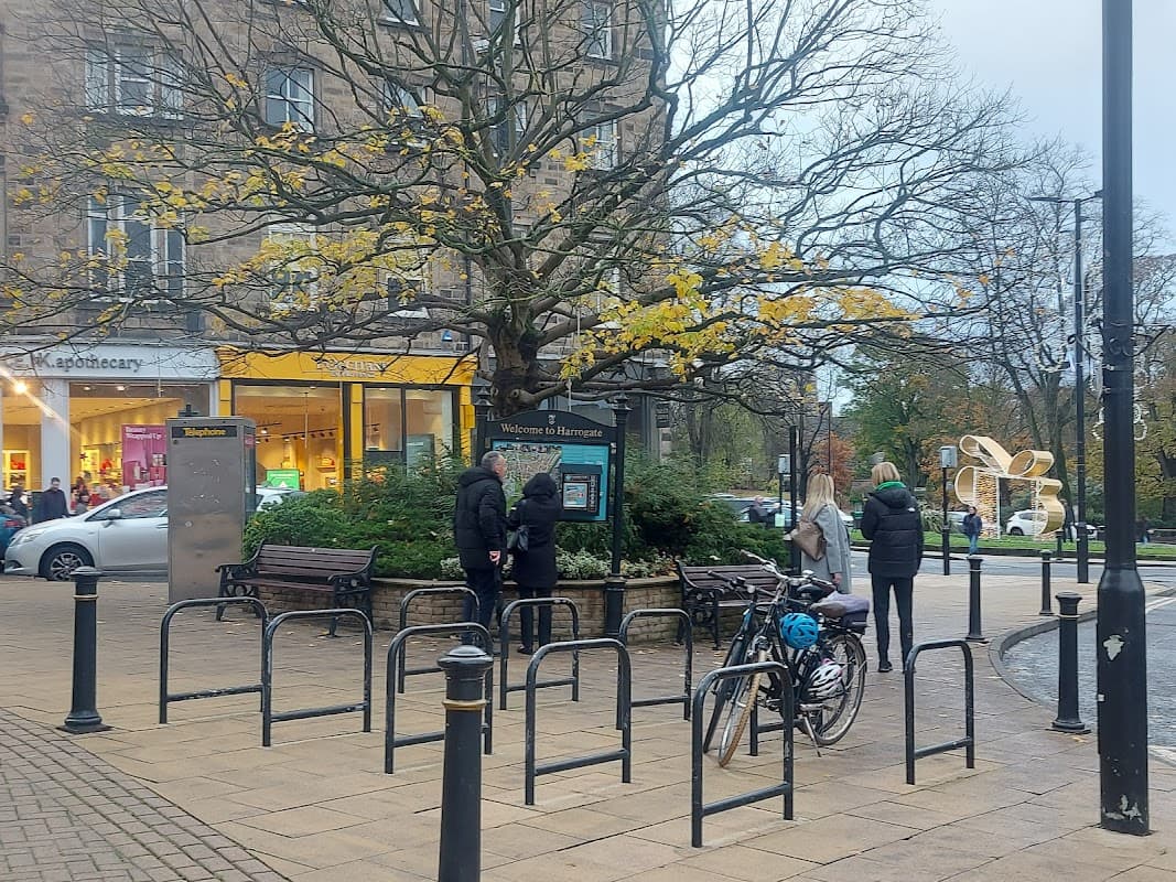 Space NK store with large windows, a tree with autumn leaves, benches, and people near bike racks in Harrogate.