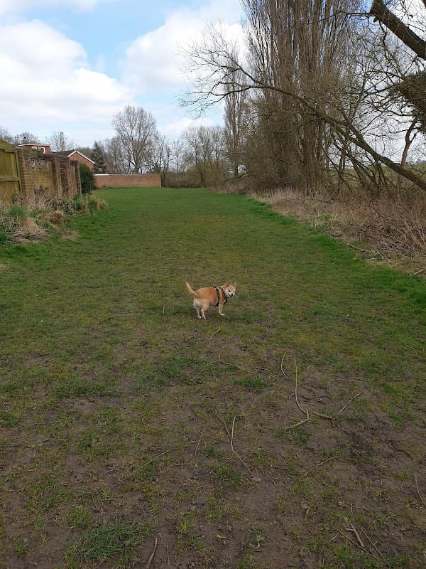 The Wier. Landing Lane. - Park in haxby