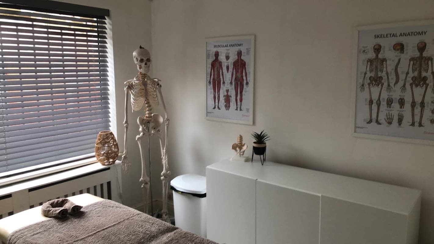 MT Sports Rehab - Sports Injury Clinics in hessle
