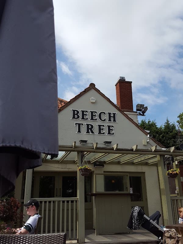 The Beech Tree