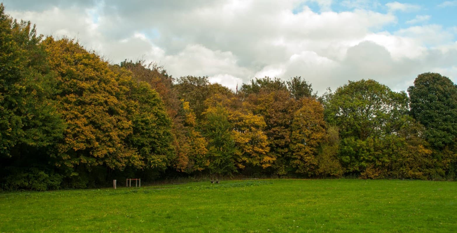 Lush green field bordered by trees displaying autumn colors under a partly cloudy sky.