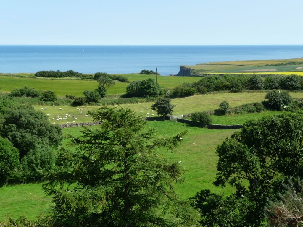 Accommodation at Little Pastures in cloughton