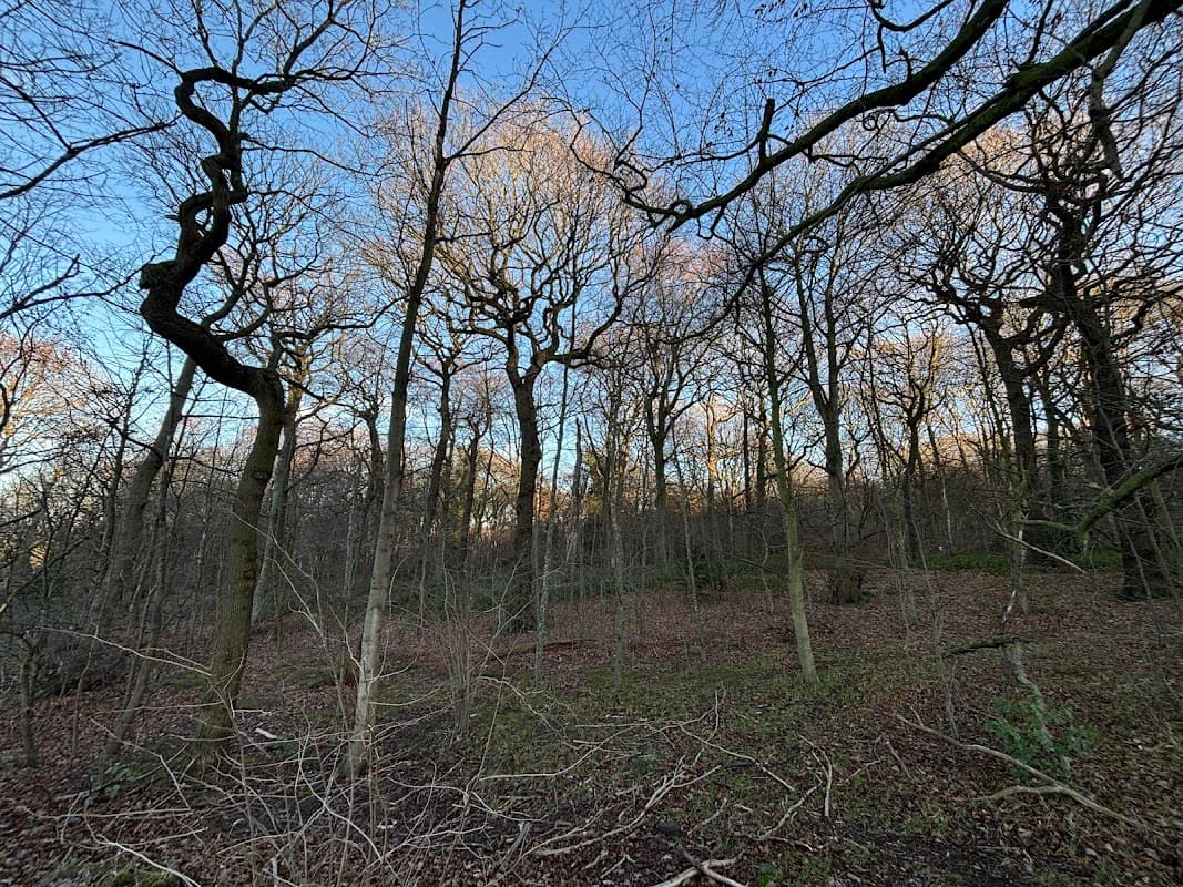 Oliver Wood - Park in mirfield