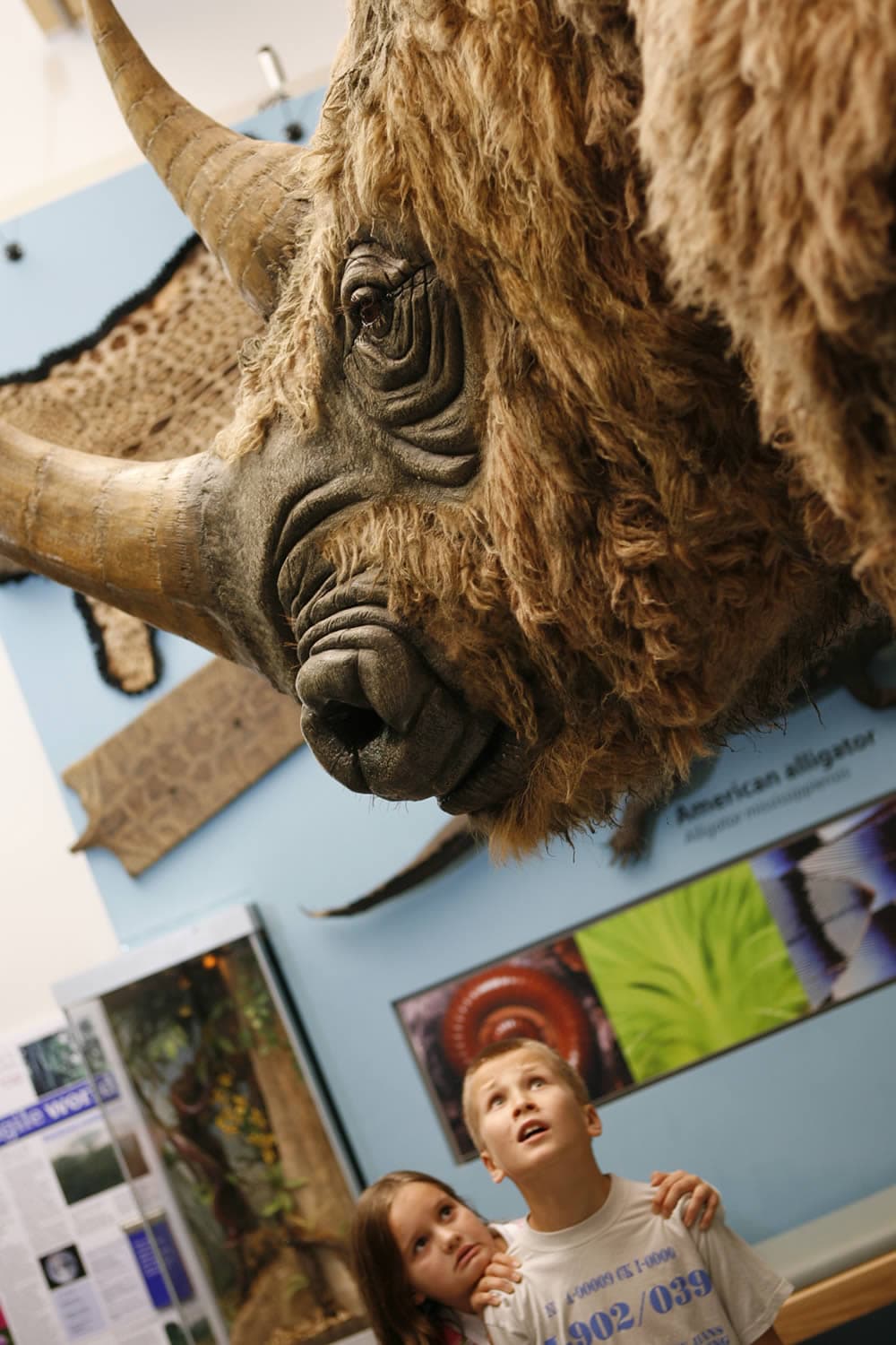 Sheffield Museums Exhibitions July 2024|||
