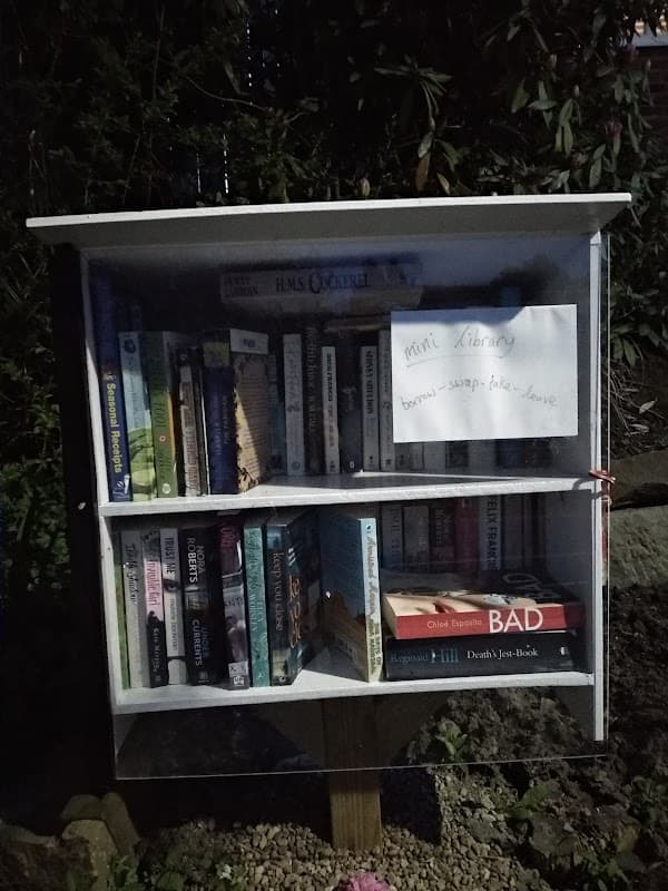 Mini Library - Libraries in nether edge