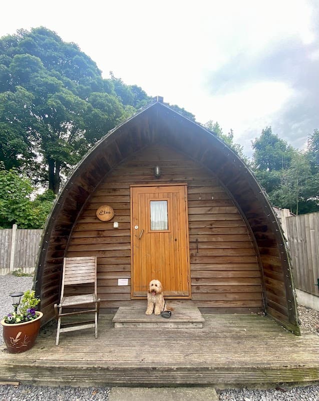 Clarion Lodge Campsite - Campsite in otley