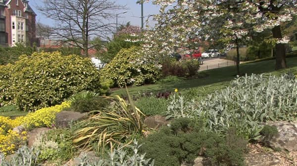 Pannett Park - Garden in whitby