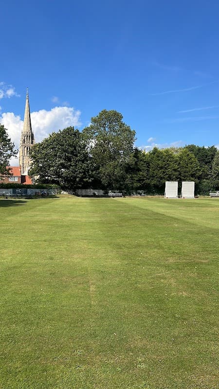 Cricket field with two wickets, lush grass, trees, and a church spire under a blue sky in Patrington, Yorkshire.