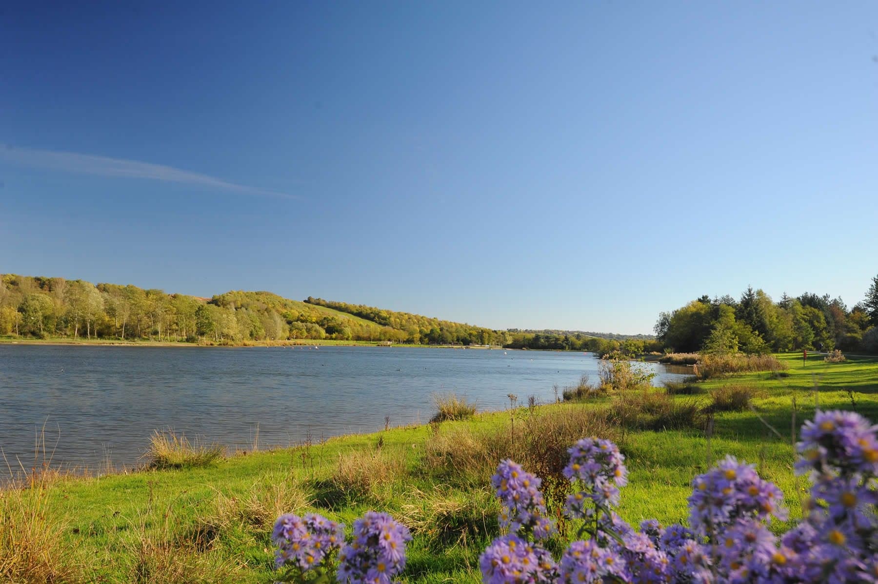 Rother Valley Country Park - Attraction in aston