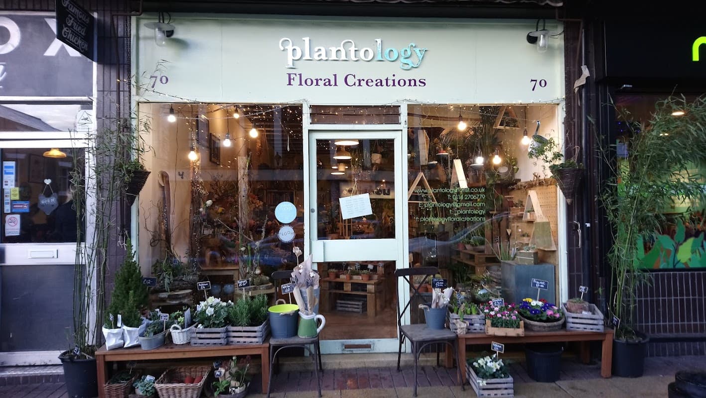 Plantology Floral Creations - Florists in sheffield