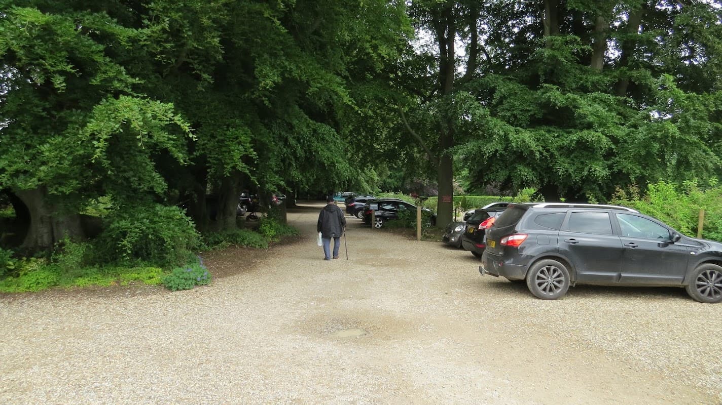 Gravel car park surrounded by lush trees, with parked cars and a person walking along the path.
