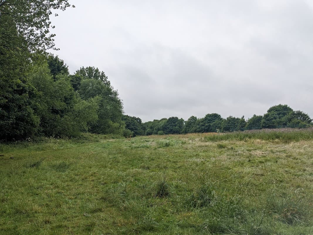 Thornaby FC Wild Meadow - Park in thornaby