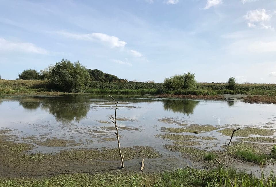 Tophill Low Nature Reserve - Park in leven