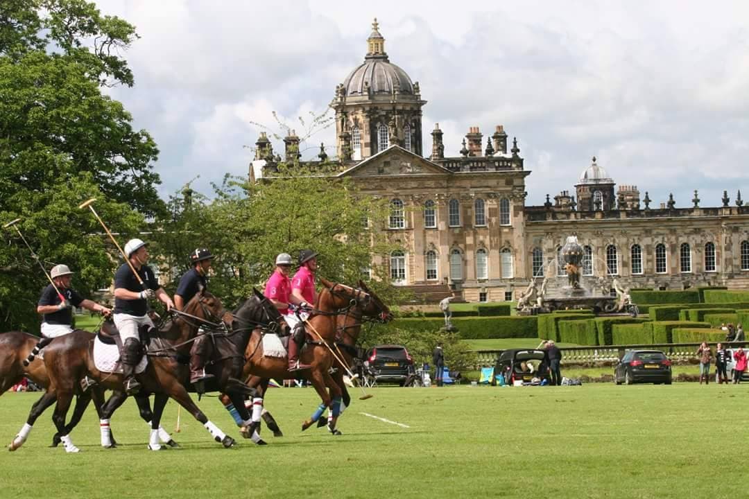 White Rose Polo Club - Sports & Leisure in sancton