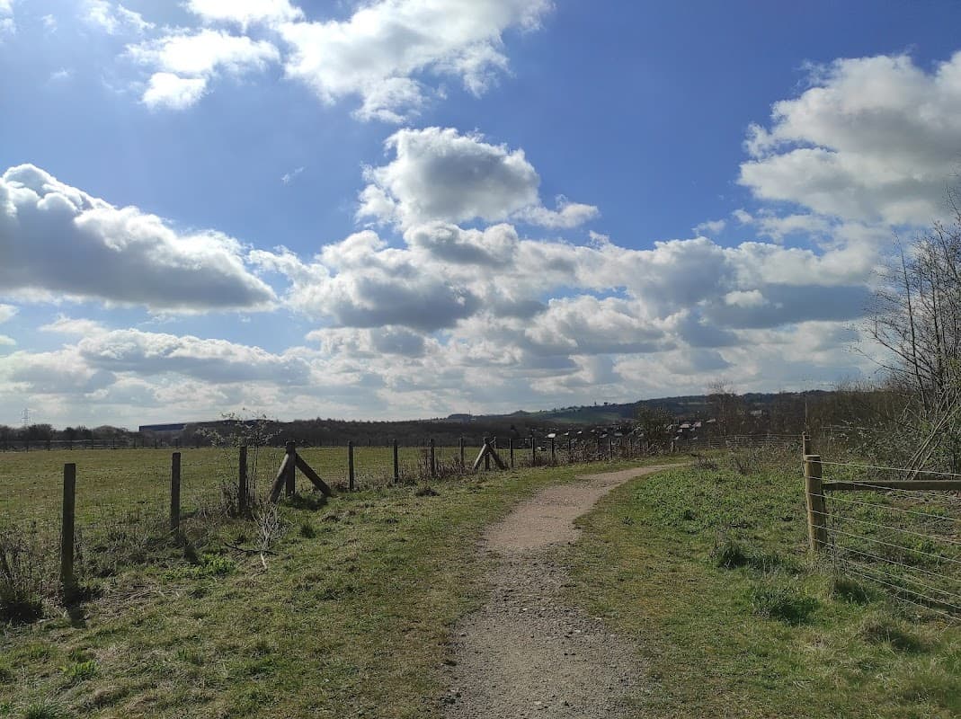 Beighton Marsh - Park in woodhouse