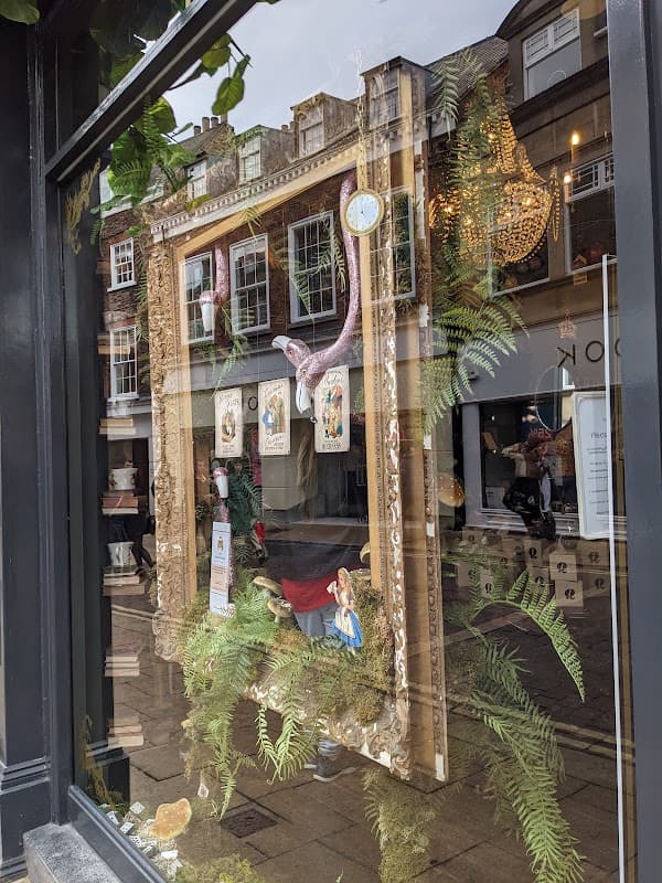 Charming shop window featuring ornate mirrors, decorative items, ferns, and a vintage clock in a quaint York street.
