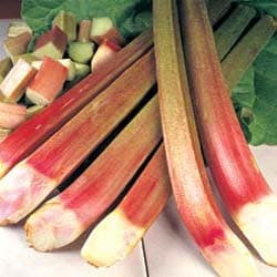 E.Oldroyd & Sons Forced Rhubarb Shed Image 5