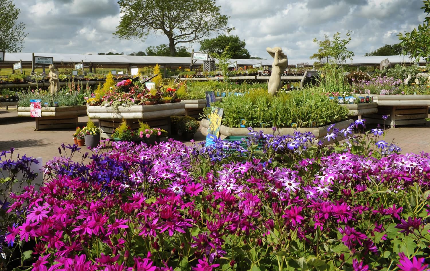 Eastfield Garden Centre - A Gardeners Paradise Bridlington Image 2