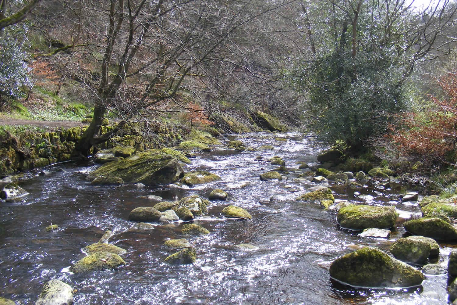 Visit Hardcastle Crags - Prices, Times, Visitor Info Image 2