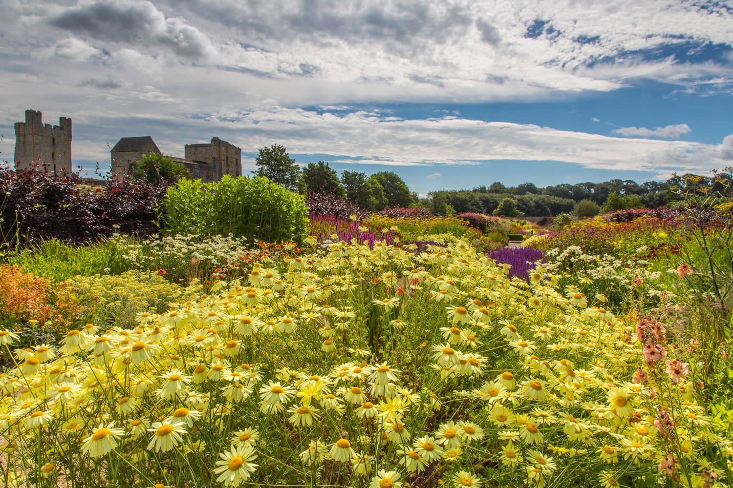 Helmsley Walled Garden - Must Visit For Garden Enthusiasts Image 3