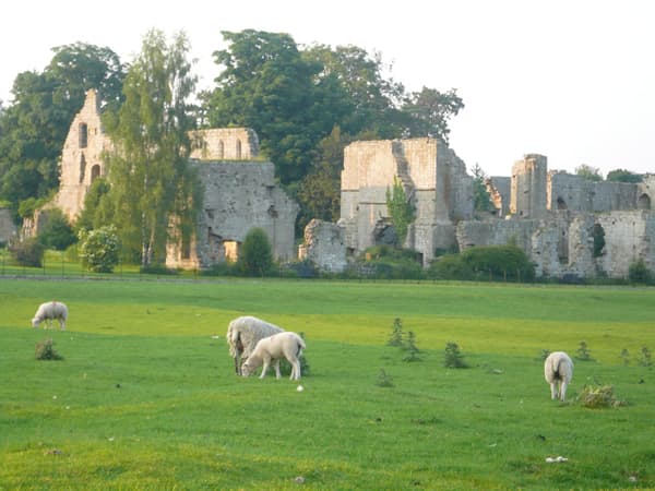 Jervaulx Abbey Image 5