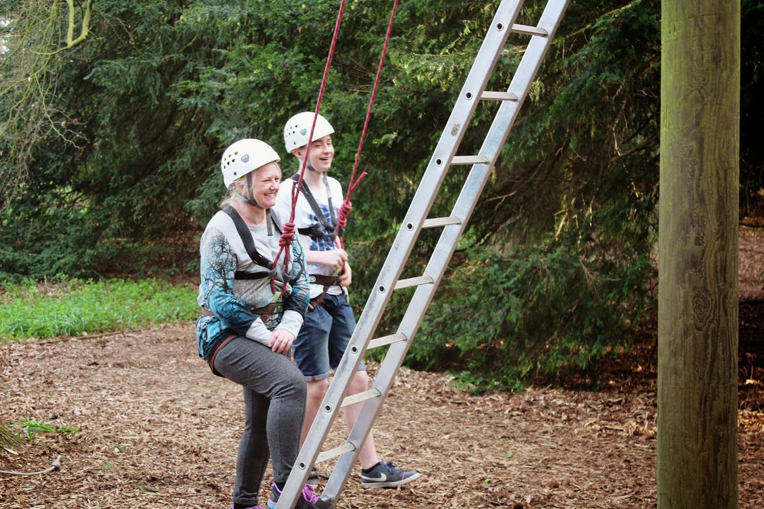 Log Heights Image 4