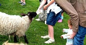 Monk Park Farm Visitor Centre Image 2