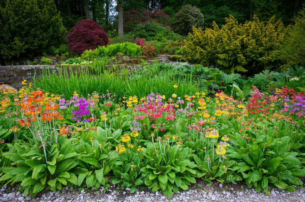RHS Garden Harlow Carr: A Visitor's Guide to Yorkshire's Horticultural Jewel Image 1