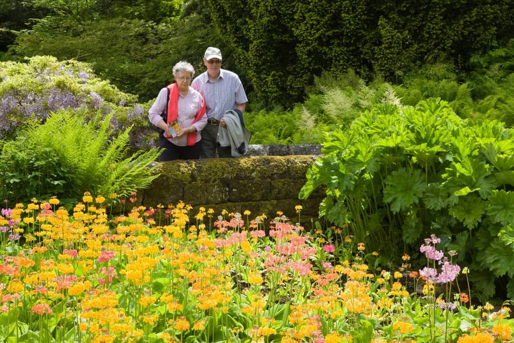 RHS Garden Harlow Carr: A Visitor's Guide to Yorkshire's Horticultural Jewel Image 2