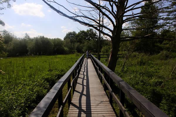 RSPB Fairburn Ings Nature Reserve Image 3